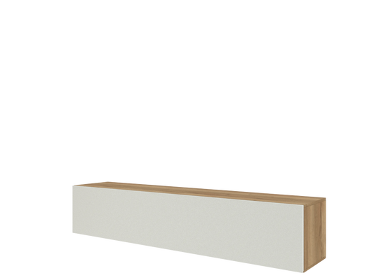 704 Horizontal Display cases with lifting slab door